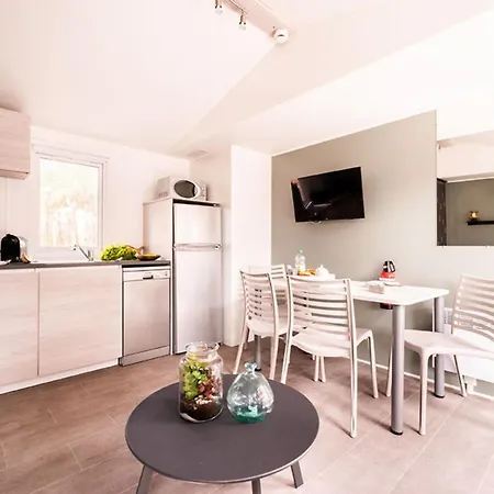 Camping Mobil-home 6 Pers Avec Terrasse A - Api-1-52-830