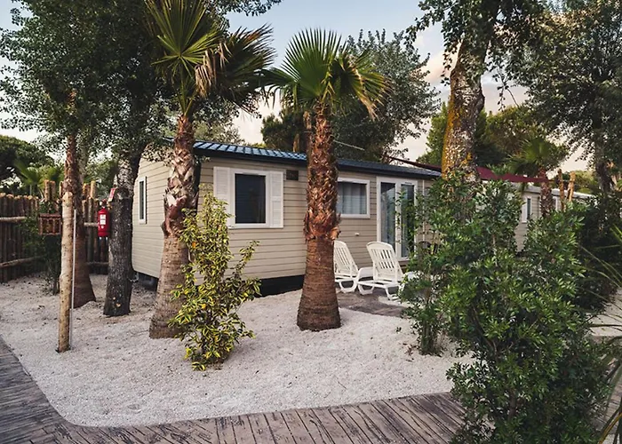 营地 Mobil-home 6 Pers Avec Terrasse A - Api-1-52-830 阿格德